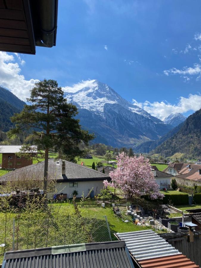 Amazing Appartment In The Middle Of The Nature Silenen Esterno foto